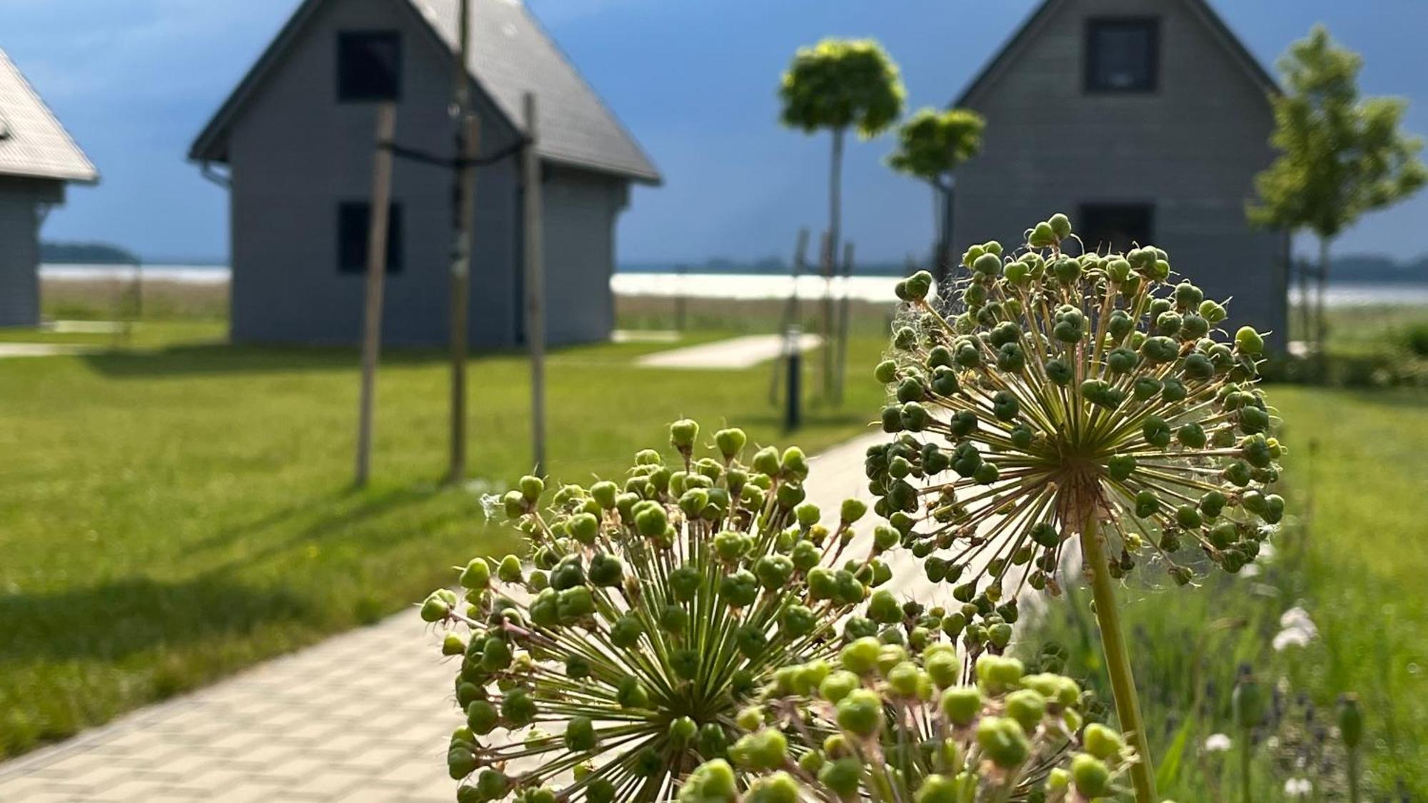 Sloneczna Przystan Dziwnówek Exterior foto